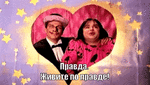 правда.gif