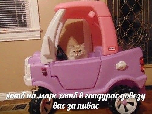 IMG_0827.jpeg