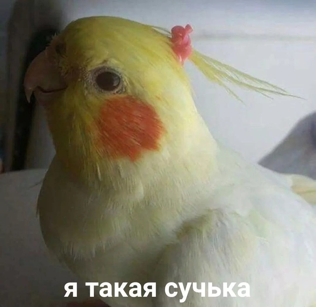 2284.jpg