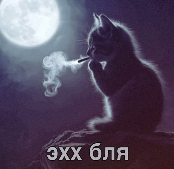 1777918653491.png