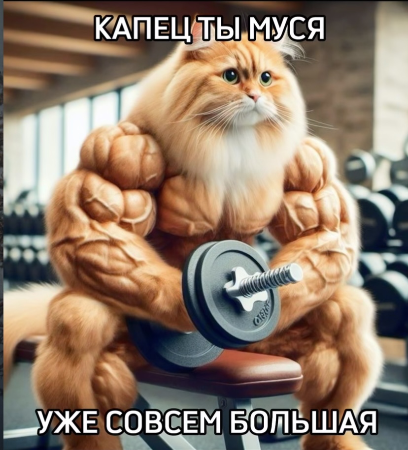 IMG_4699.jpeg