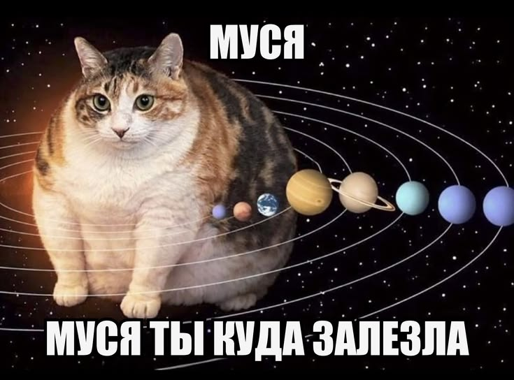 1778925950730.png