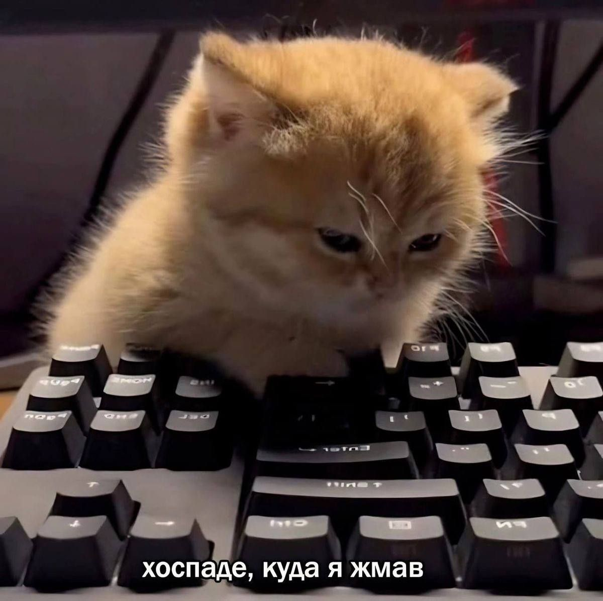 1779266061864.png