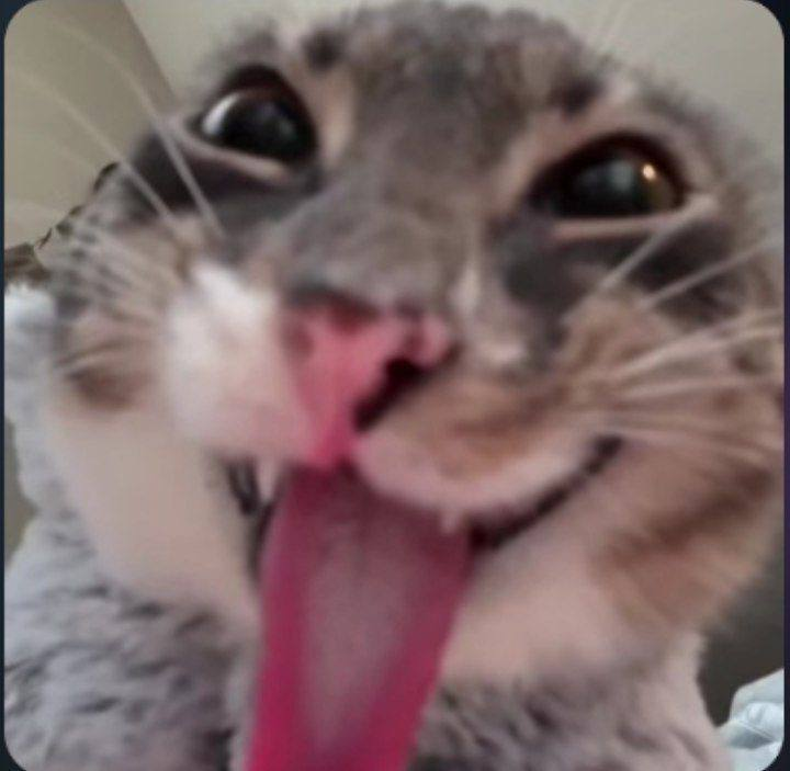 1779293550358.png