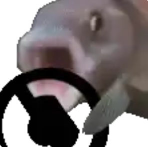23784.jpg