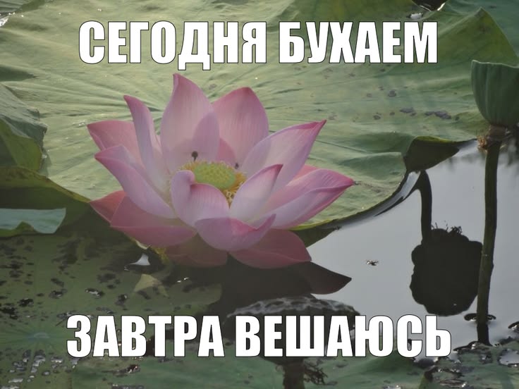 f8deb76e-4712-436b-9bf6-4f07c978902b.jpeg