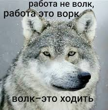 1780846662196.png