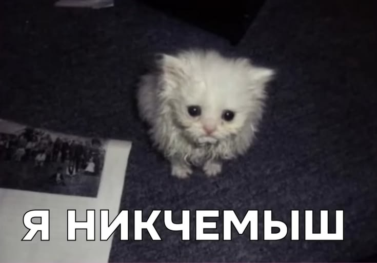 1781100997888.png