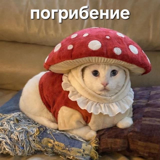 1781161384932.png