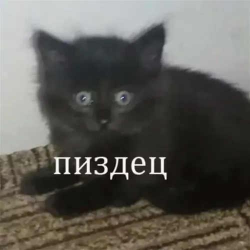 1781188534153.png