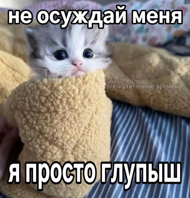 1781189538298.png