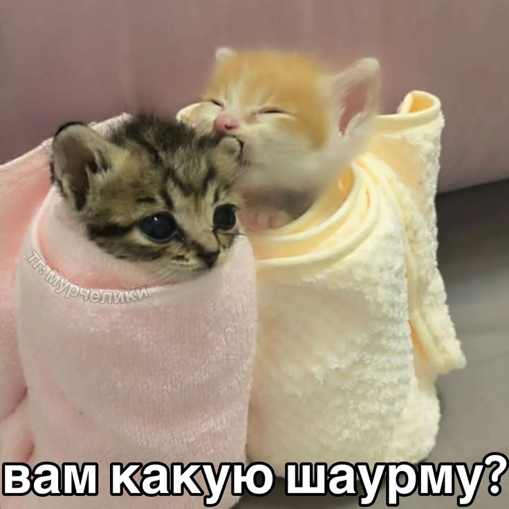 1781331589919.png