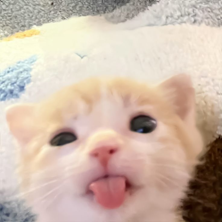 1781593109919.png