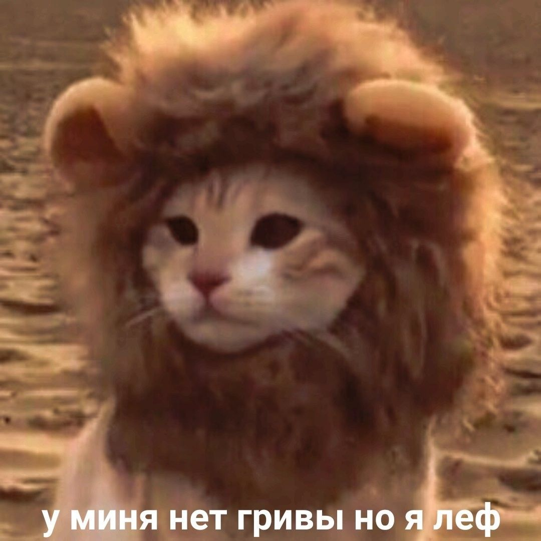 1781679687422.png