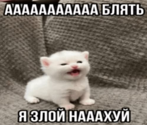 1781701718989.png