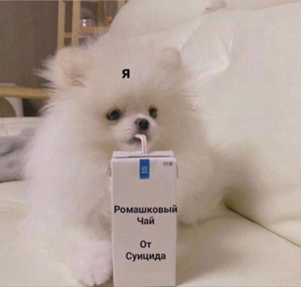 1781977727254.png