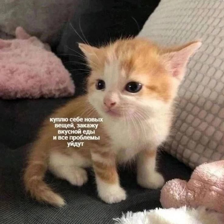 1782205150323.png