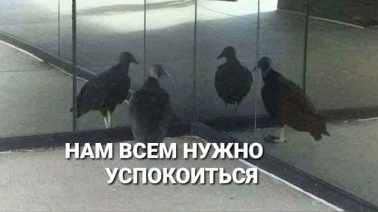 1783097318965.png