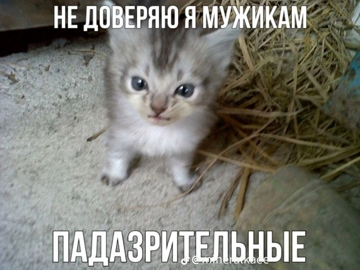 1784964064964.png