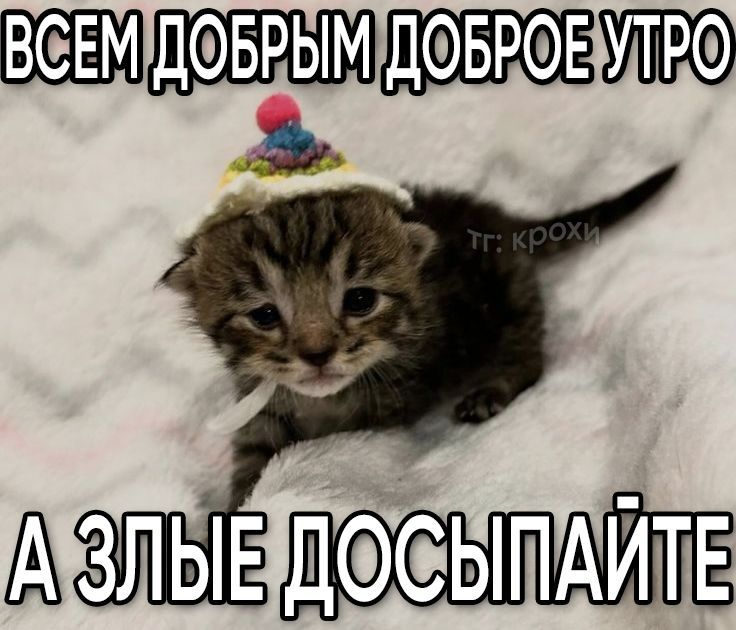 1785067693216.png