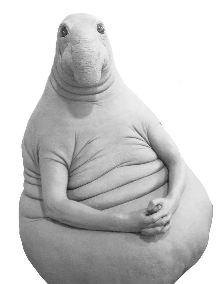 1785150209594.png