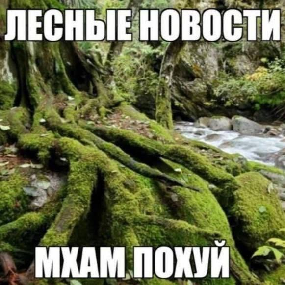1786079131245.png
