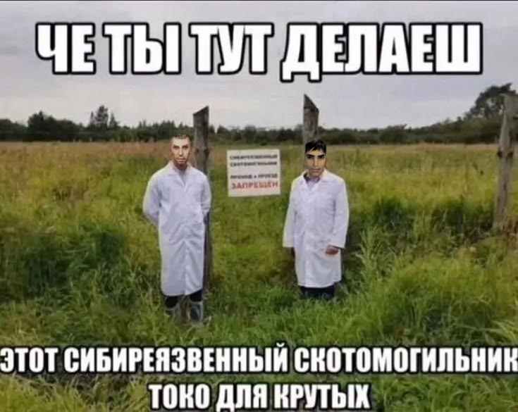 1786081254098.png