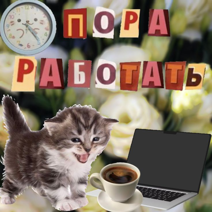 1786201224005.png