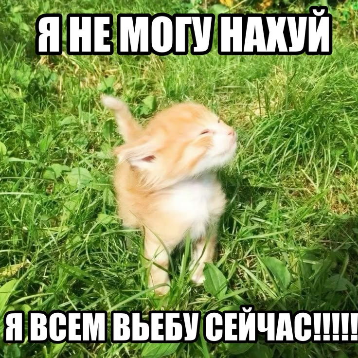 1786620922201.png