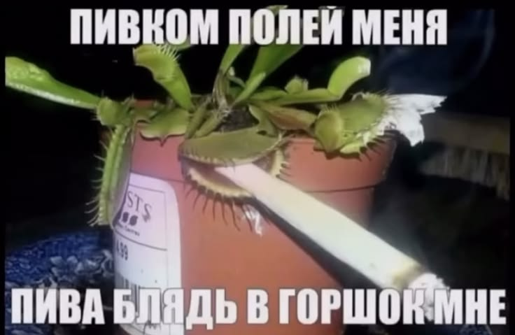 1787216720390.png