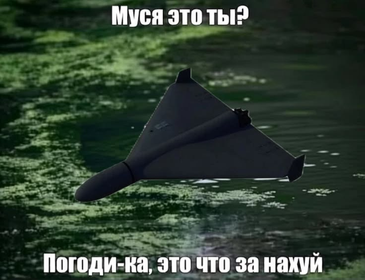 1788770470472.png
