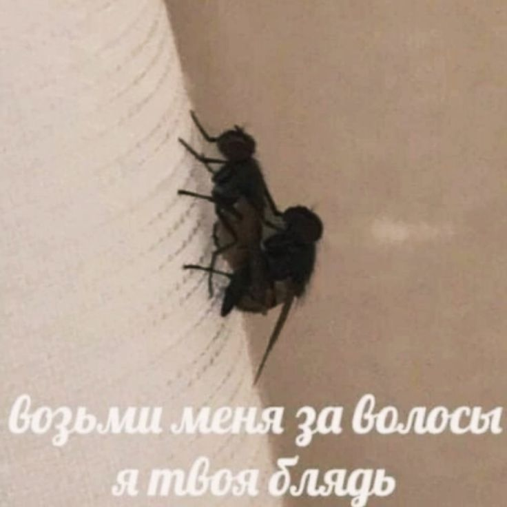 1789285978617.png