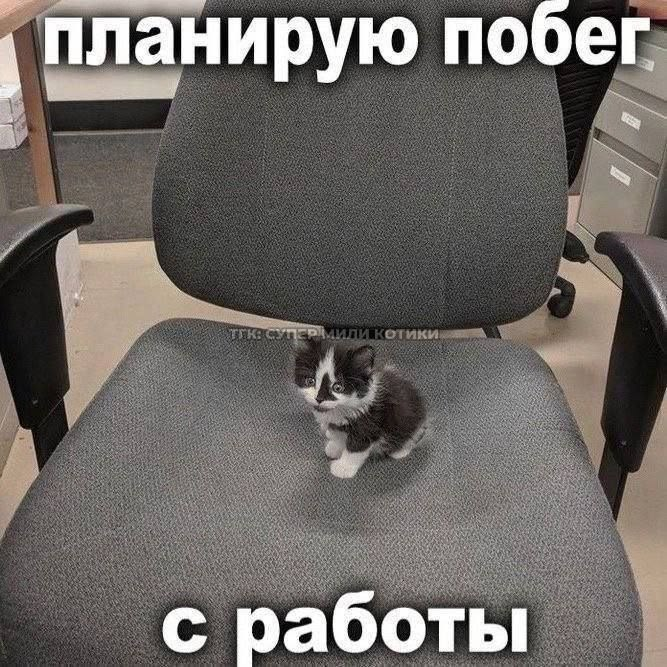 1789466306582.png