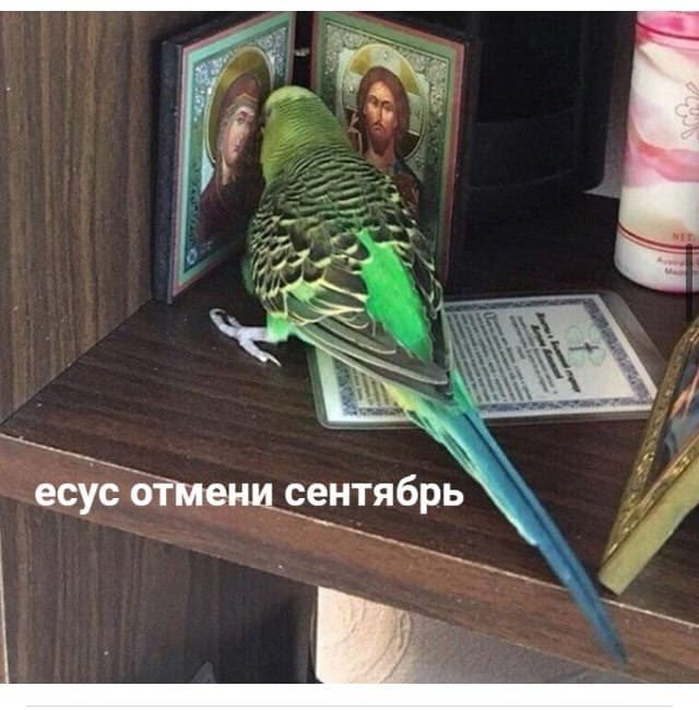 1789466423957.png