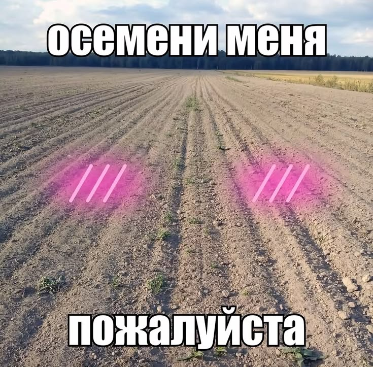 1789468591320.png