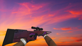 awp.png