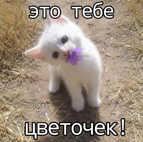 1791303886942.png