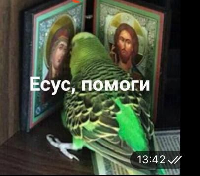 1791359358584.png