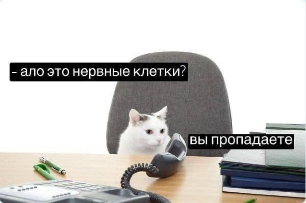 1791456730468.png
